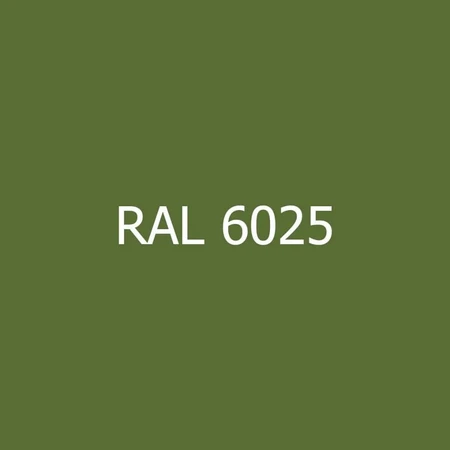 ral-6025-min